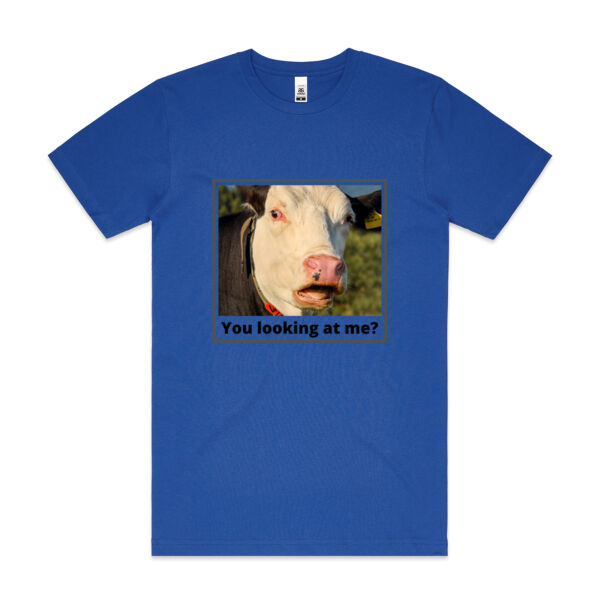 Cow - You looking at me Thumbnail